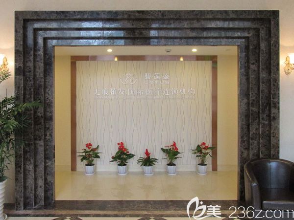 碧莲盛无痕植发连锁机构 碧莲盛无痕植发连锁机构