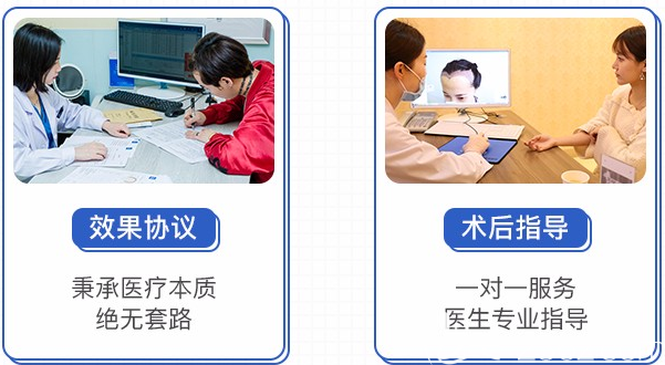 碧莲盛提供全程一站式服务 碧莲盛提供全程一站式服务