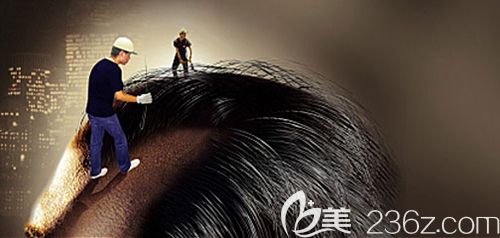 华南地区专业的毛发移植机构 华南地区专业的毛发移植机构