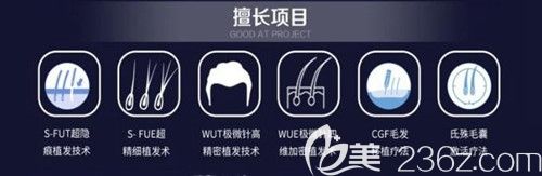 他擅长多种植发项目