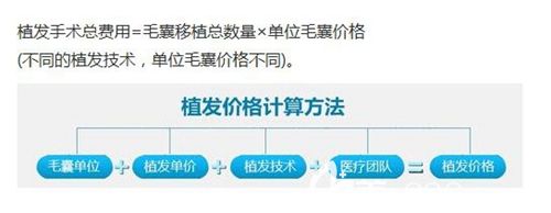 胡须种植费用计算方法 胡须种植费用计算方法