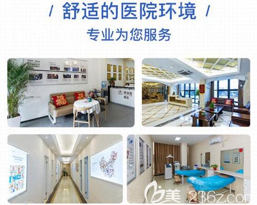 舒适整洁的诊疗服务环境 舒适整洁的诊疗服务环境