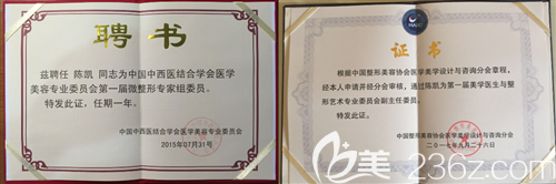 陈凯医生获得的证书