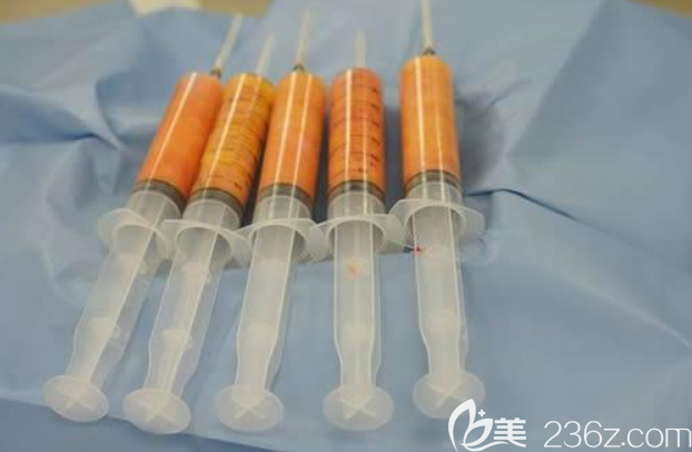 高质量的脂肪细胞