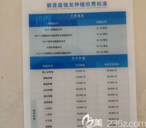 公开透明的毛发移植手术价格 公开透明的毛发移植手术价格