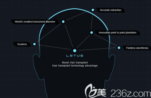 擅长BHT艺术种植技术 擅长BHT艺术种植技术