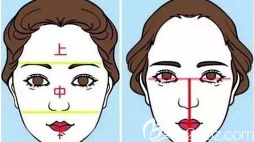 发际线种植的手术原理 发际线种植的手术原理