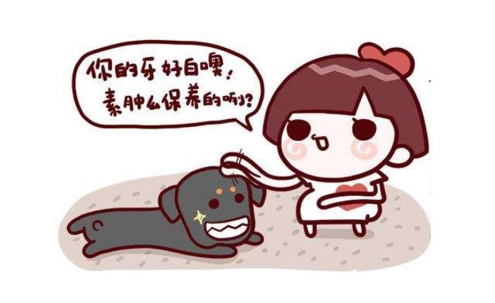 牙齿贴面和烤瓷牙的使用寿命