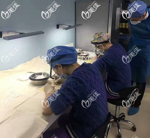 医生手工分离毛囊 医生手工分离毛囊