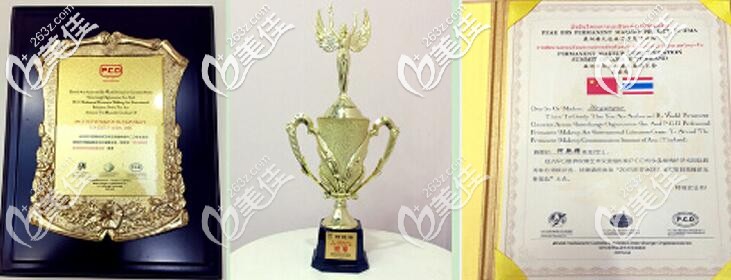 王蕾医生所获得的荣誉资质 王蕾医生所获得的荣誉资质