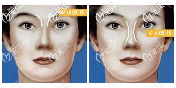 双c线鼻子效果 双c线鼻子效果