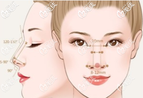 泰国隆鼻哪家好