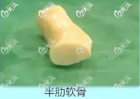 半肋骨鼻材料 半肋骨鼻材料