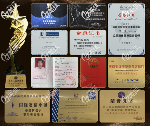 何院长个人荣誉 何院长个人荣誉