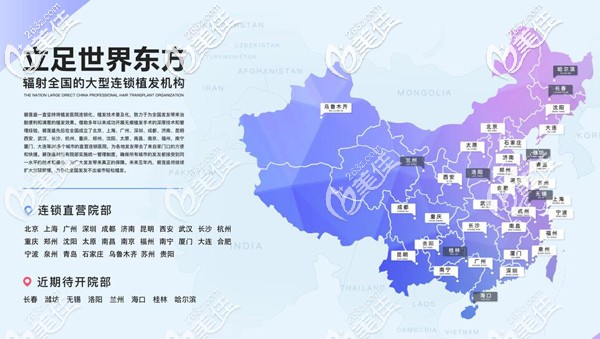 碧莲盛国内分院示意图 碧莲盛国内分院示意图