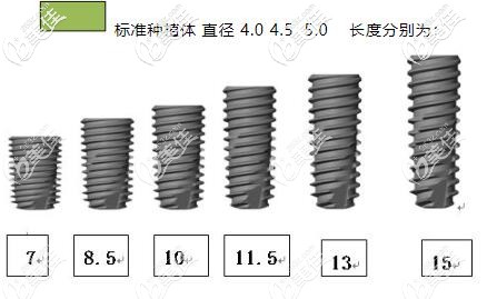 奥齿泰种植体TSⅢ标准型