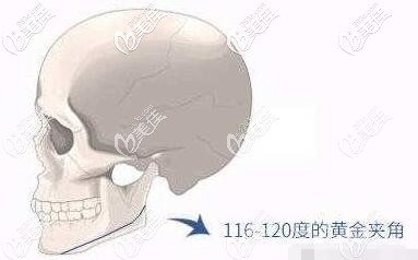 下颌角120度的黄金夹角