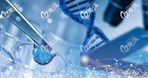 擅长BHT艺术植发和大面积植发