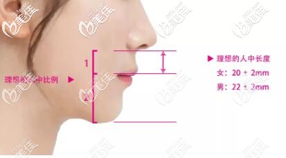 好看的人中比例