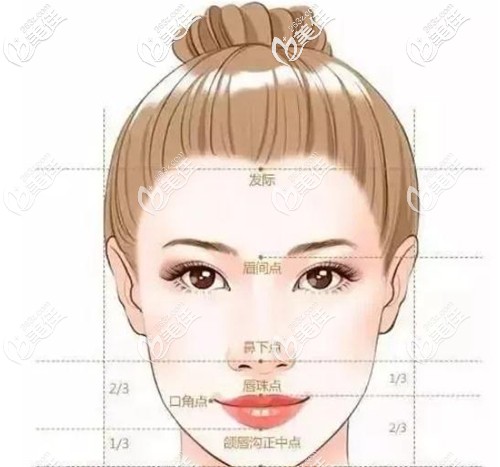 发际线好看的标准比例 发际线好看的标准比例