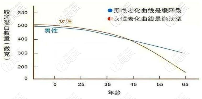 胶原蛋白流失示意图 胶原蛋白流失示意图