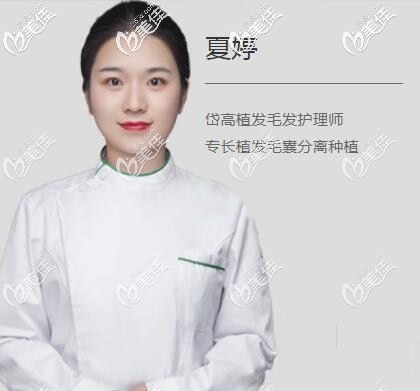 专业的毛囊分离师夏婷