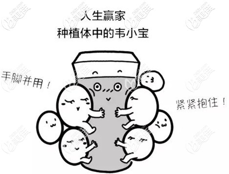 zimmer种植体更适合无牙颌即刻种植修复技术 zimmer种植体更适合无牙颌即刻种植修复技术