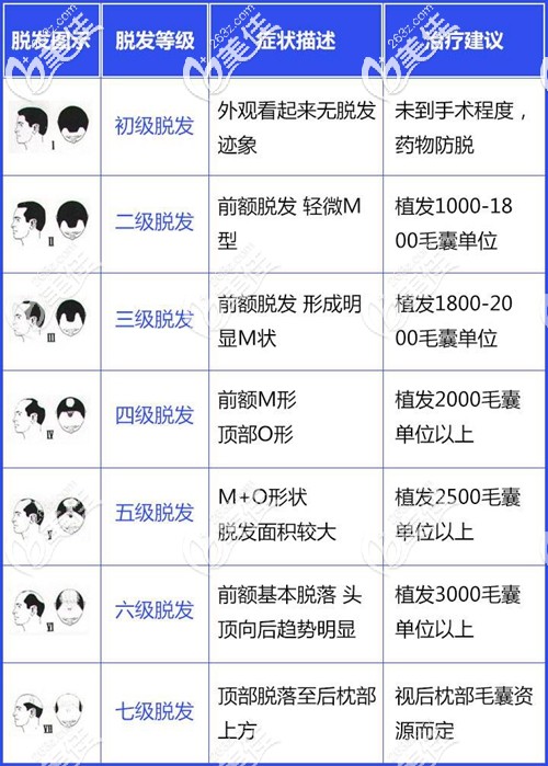 脱发等级对应的毛囊种植数量 脱发等级对应的毛囊种植数量