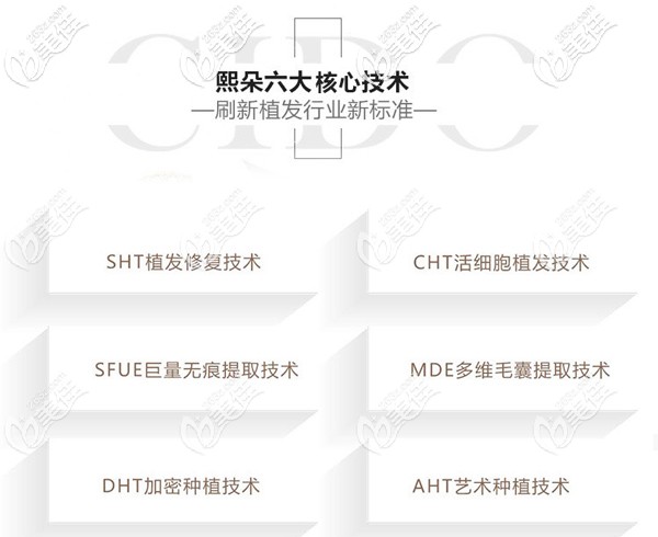 熙朵六大植发技术