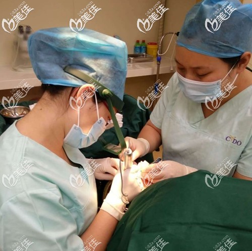 毛发移植手术中的侯佳琪