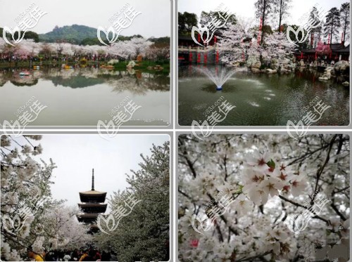 生活外的雷云飞院长 生活外的雷云飞院长