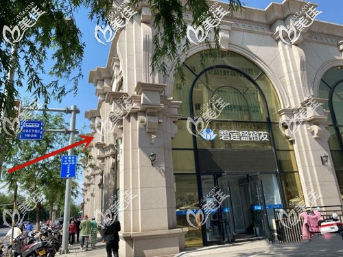 济南碧莲盛的具体地址