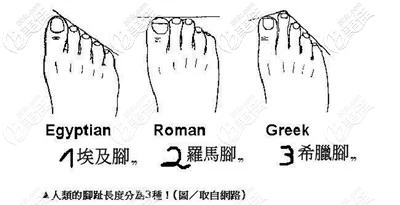 不同的脚型 不同的脚型