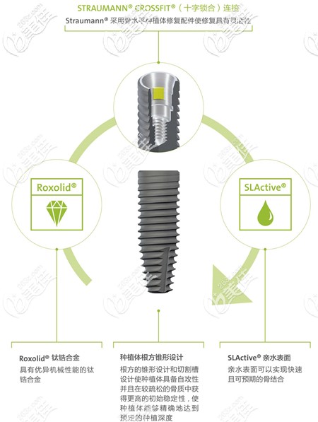 瑞士士卓曼种植体结构
