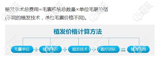 植发手术价格计算方式 植发手术价格计算方式