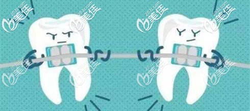 预防口腔疾病的小知识 预防口腔疾病的小知识