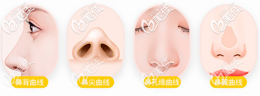 好看的鼻部标准 好看的鼻部标准