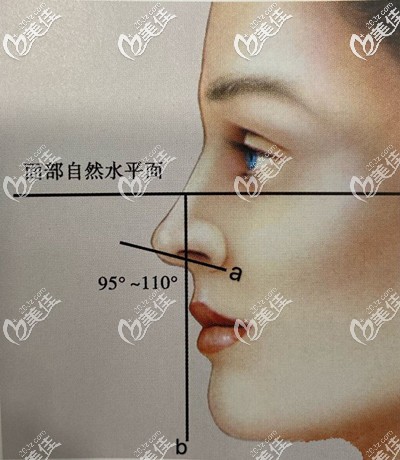 判断鼻基底是否凹陷