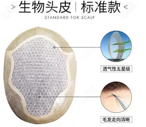 生物头皮标准款补发片示意图 生物头皮标准款补发片示意图