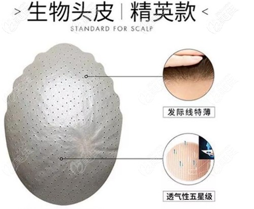 生物头皮精英款补发片示意图 生物头皮精英款补发片示意图