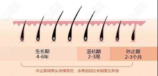 微信图片_20200615083712_副本_副本.jpg