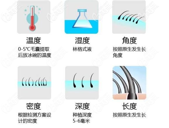 <!--<i data=20240703-sp></i>-->擅长的6度FUE植发技术优势