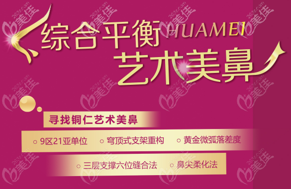 铜仁华美艺术美鼻