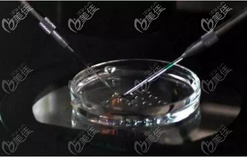 专业低温分离培育 专业低温分离培育