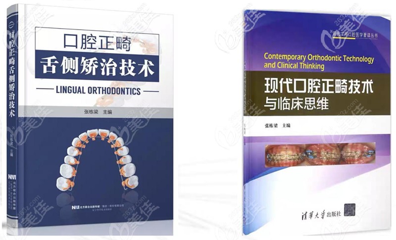 张栋梁出版的书籍