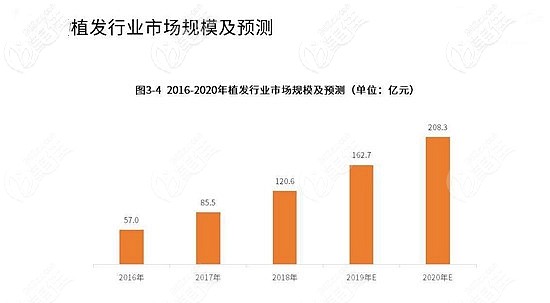 植发行业市场规模数据