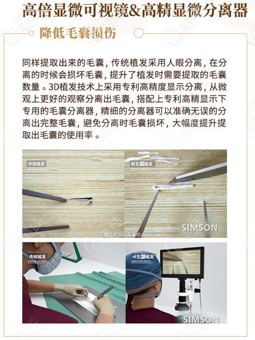 高倍显微镜下毛囊分离更完整
