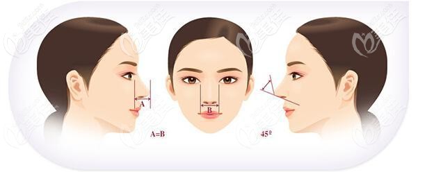好看鼻子的美学标准 好看鼻子的美学标准