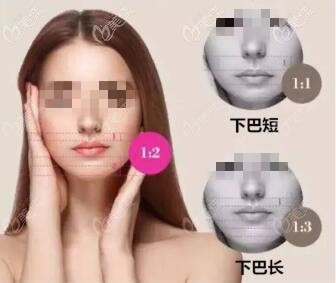 下巴长度比例 下巴长度比例