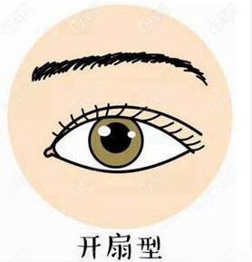 开扇形双眼皮形态